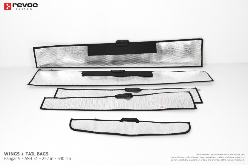 Hangar 9 - ASH 31 - 252 in - 640 cm