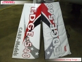 CARF Models - Edge 540 - 102 in - 260 cm