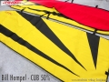 Bill Hempel - Cub 50% - Standard Wing