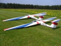 Rosenthal - Pilatus B4 - 295 in - 750 cm
