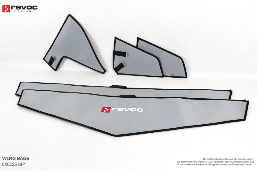 Pegase Composites - Excess Biplane
