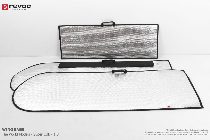 The World Models - Super Cub - 1:3