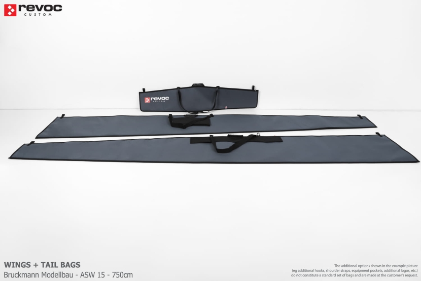 Modellbau Bruckmann - ASW 15 - 295 in - 750 cm