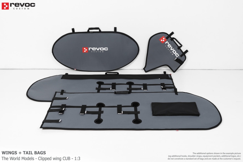The World Models - Clipped wing Cub - 1:3